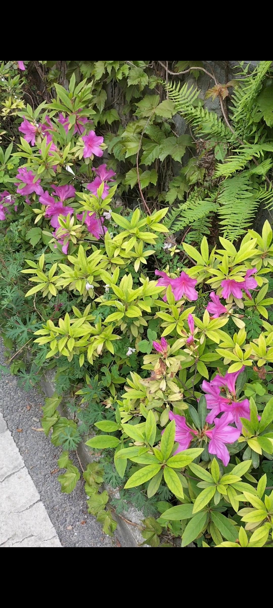 人到中年，写小说还能挣到钱吗？我在2023年写了一部小说，是为了纪念我的母亲，我