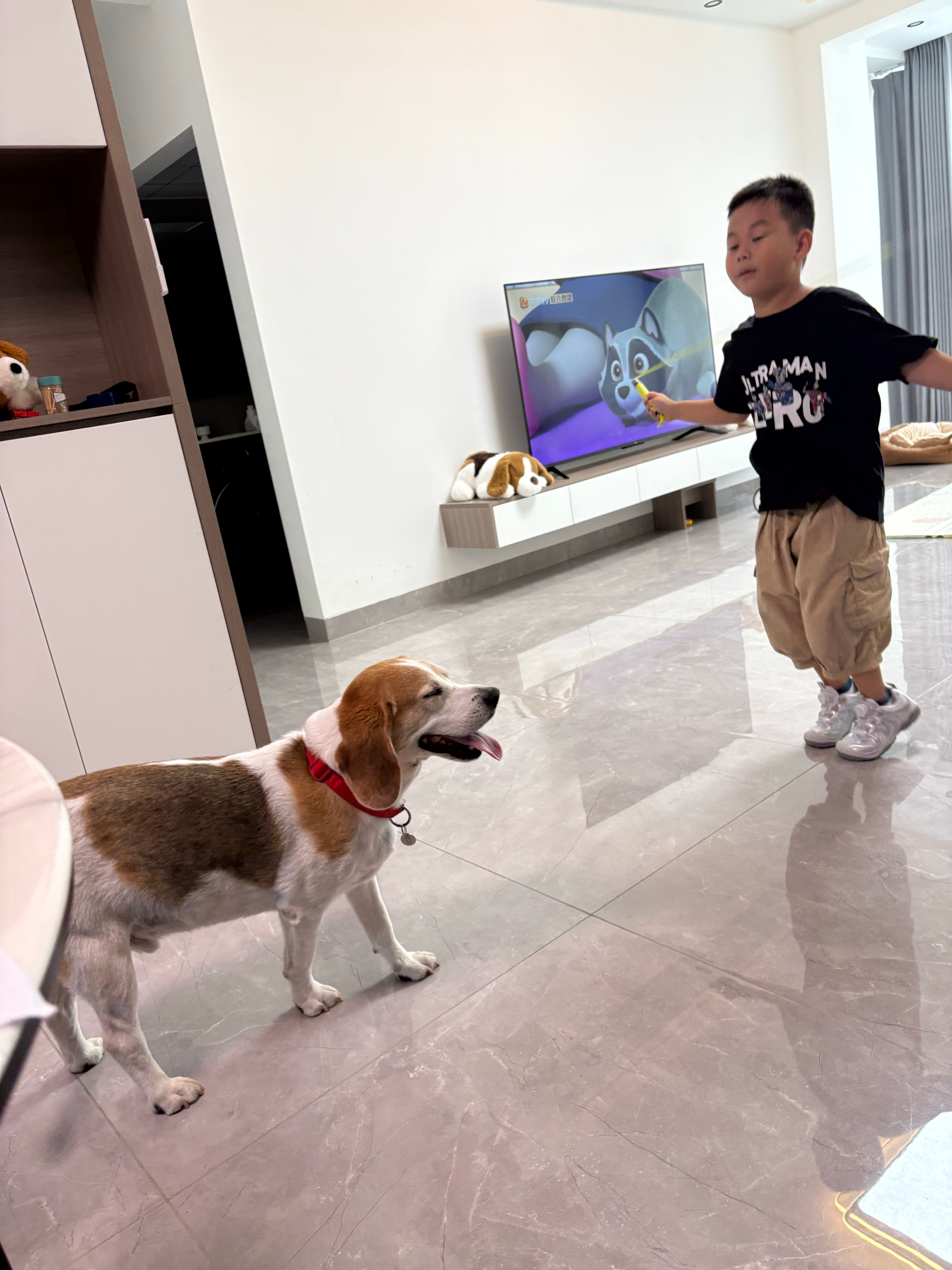 凑什么热闹 ​​​