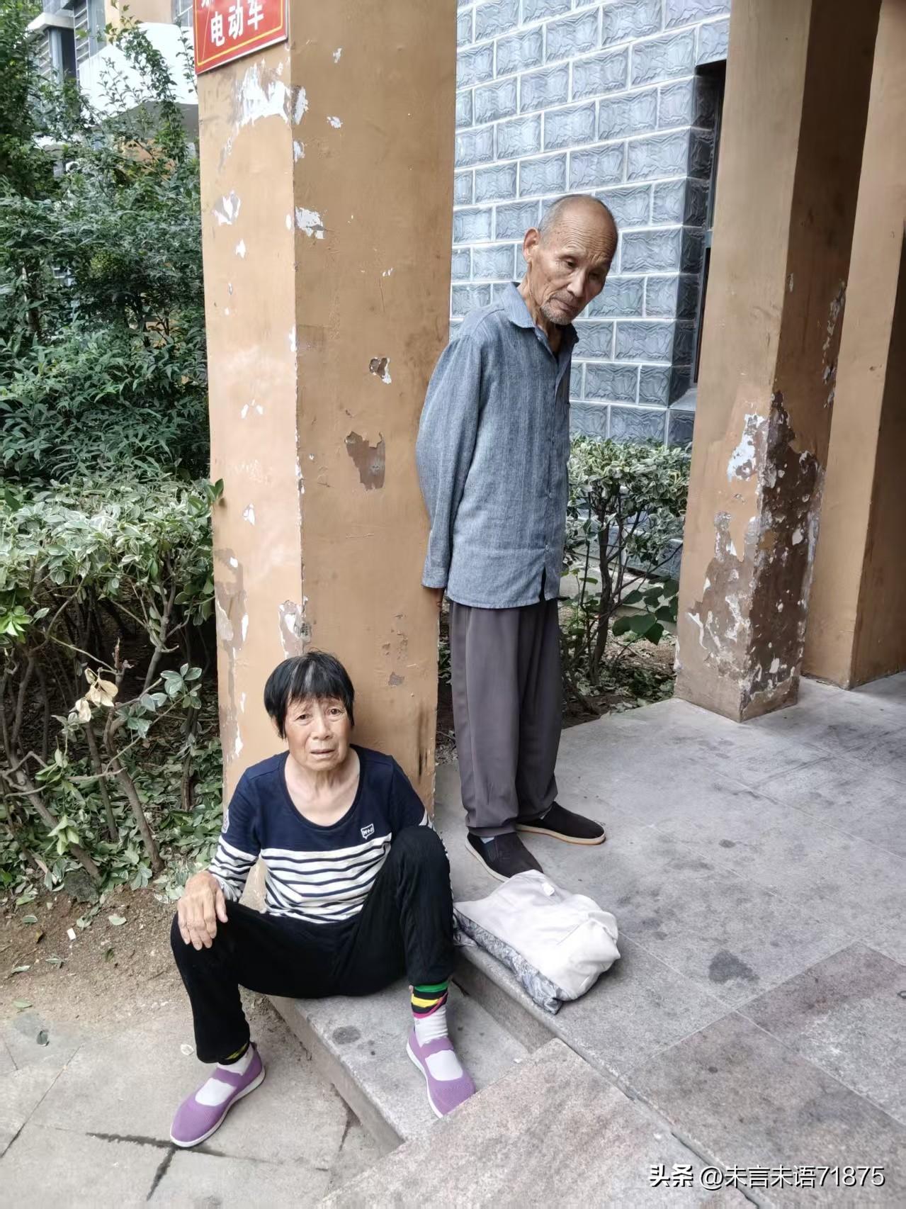 人老了就在那自己一亩3分地儿里待着。千万别乱跑，这样容易走丢，还容易着急上火。