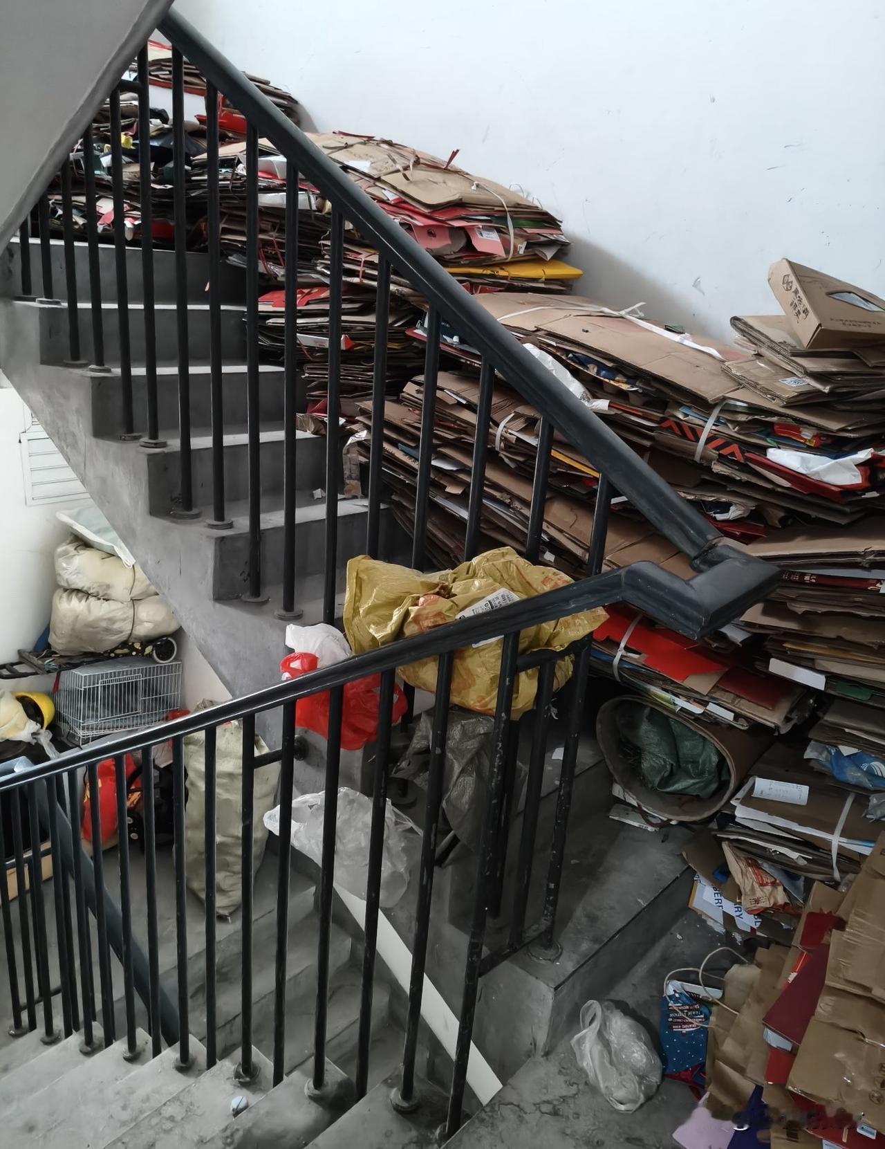 一大早邻居就跟物业吵翻天，大清早吵得人根本睡不成觉！
出门一看才知道，原来是楼下