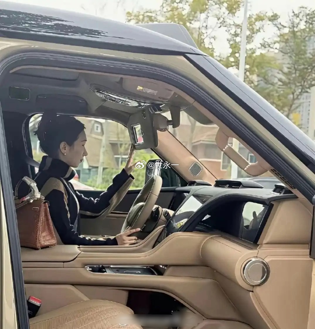 买这车的一般都是女微商吧 
