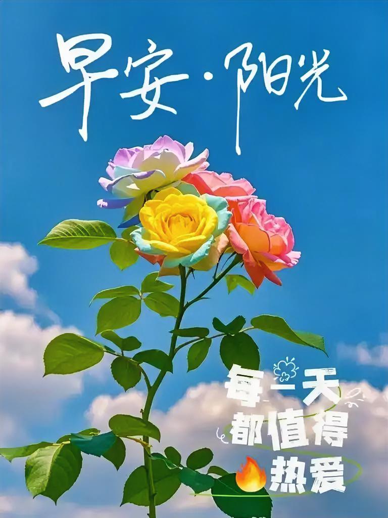 今年我来六盘水避暑已有一个月，并未出现你所说的情况。我提前在某8同城上找好了避暑