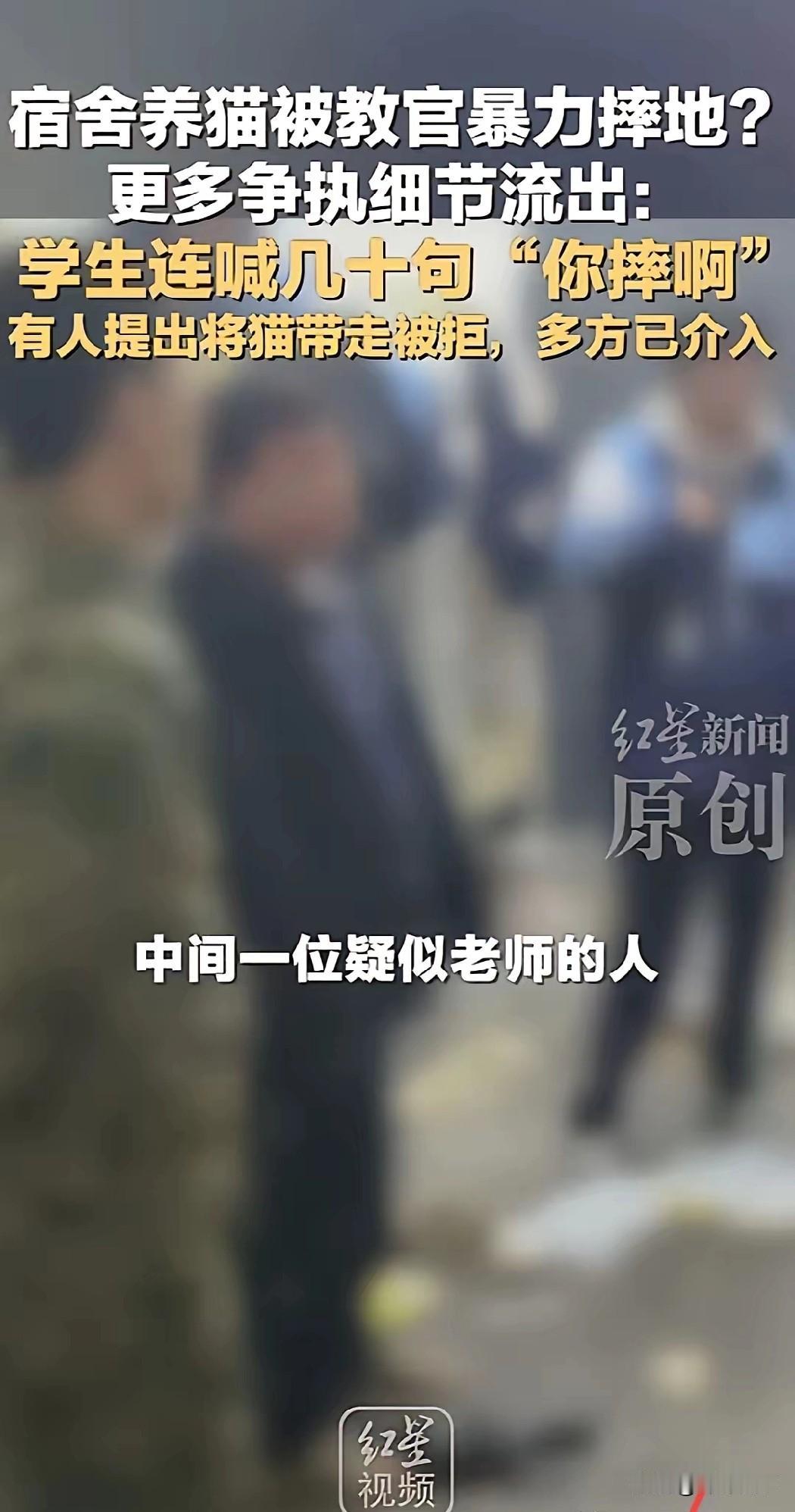 这下好了，教官摔猫，自己和猫都成了“反面教材”。学生违规带猫是不对，但视频里那小