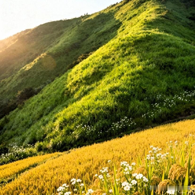 上联:山上芳草绿;求下联下联是：田间稻花香。