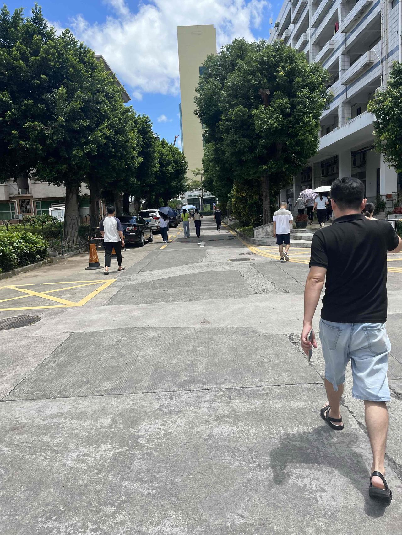 我提供的内容原封不动地放在文章的第一段，第二段开始你的续写。
 
提前通知一下，