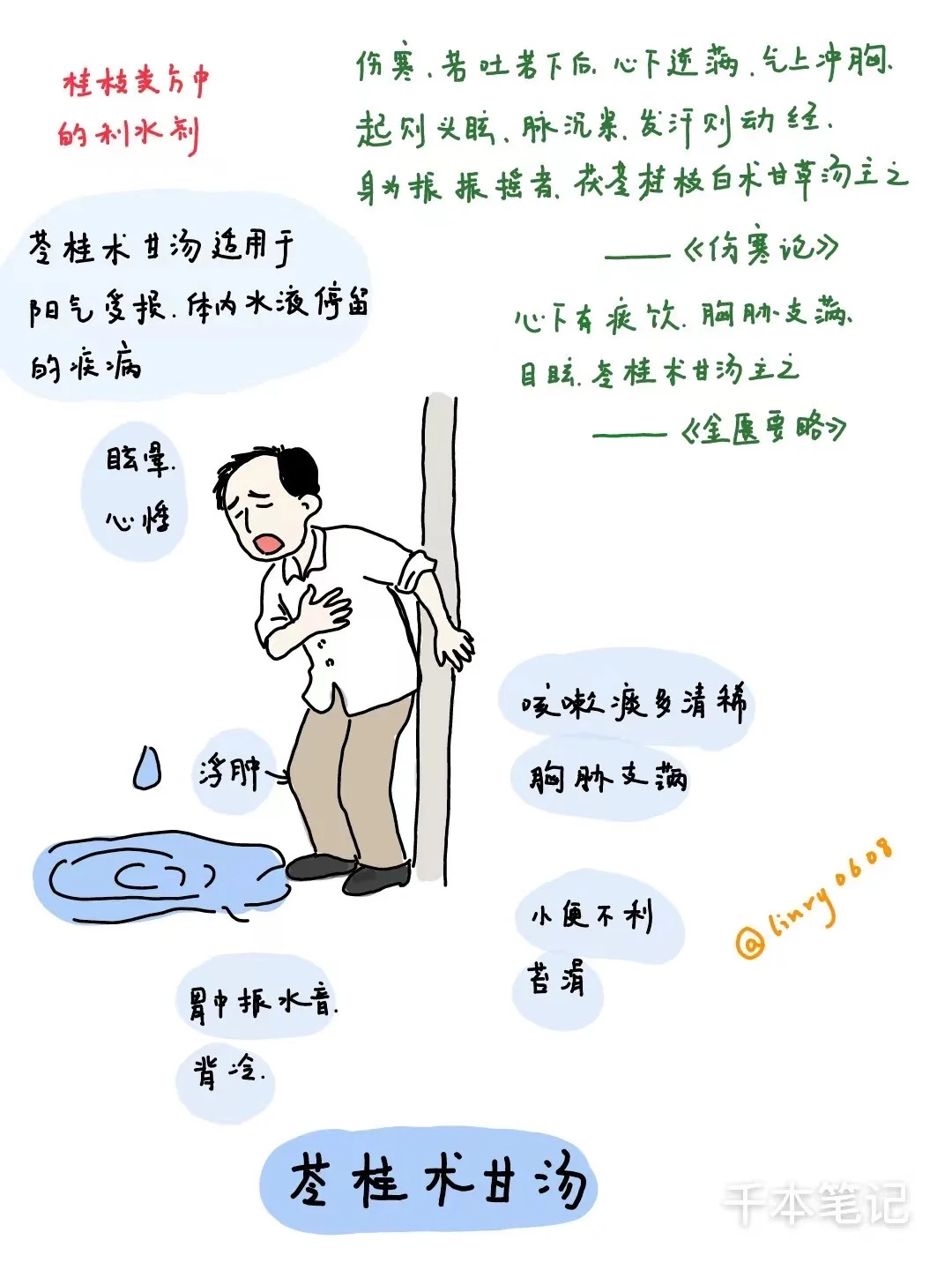 每日经方🌿第7期【苓桂术甘汤】