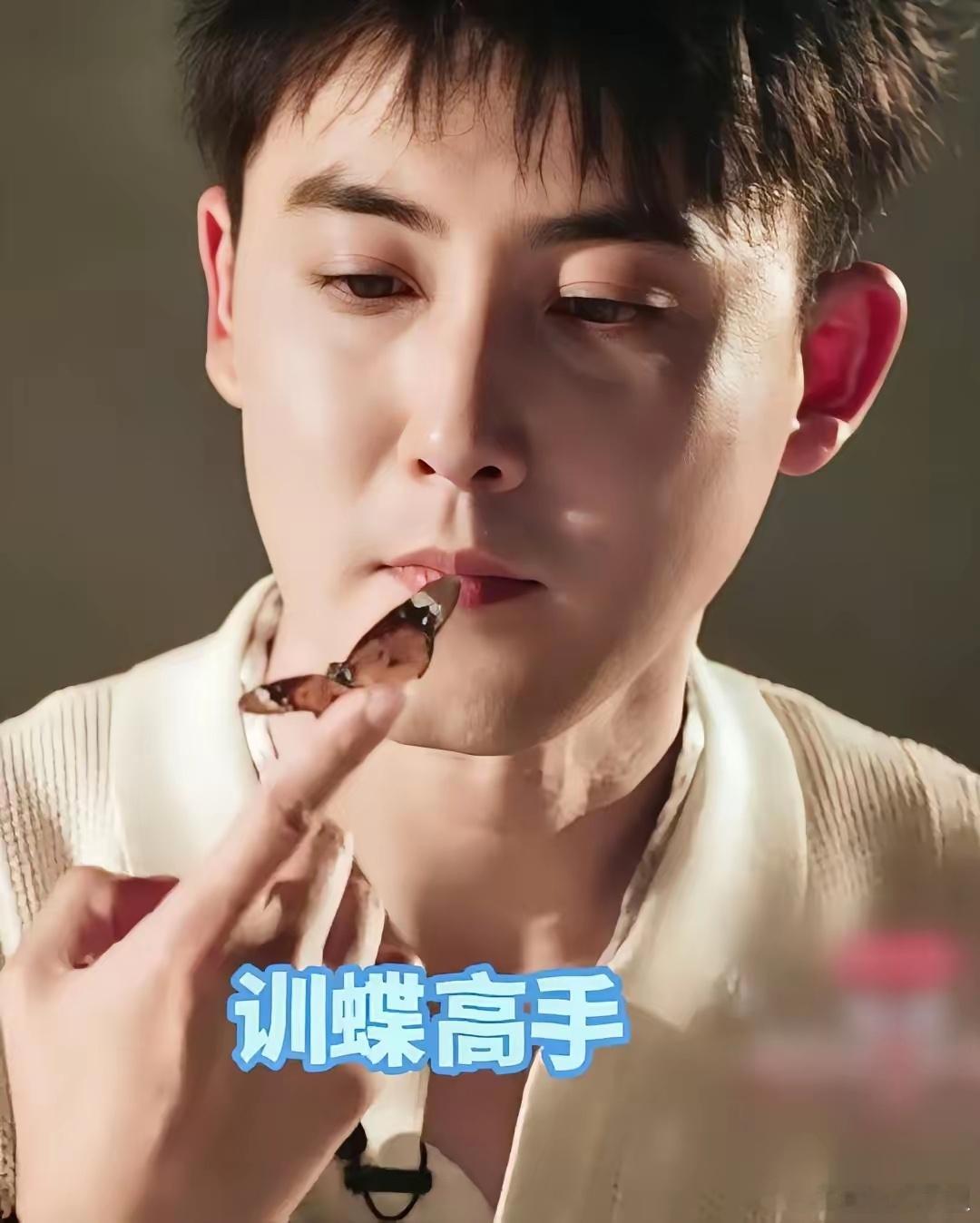 张睿养的宠物，让我大吃一惊！见过养狗的，见过养猫的，养鸟的，真的没见过养蝴蝶的！
