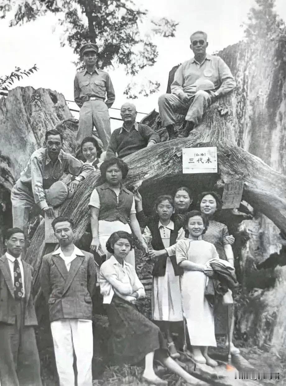 1953年，孙立人带着家眷以及部属们同游阿里山，众人在三代木前合影留念，孙立人戴