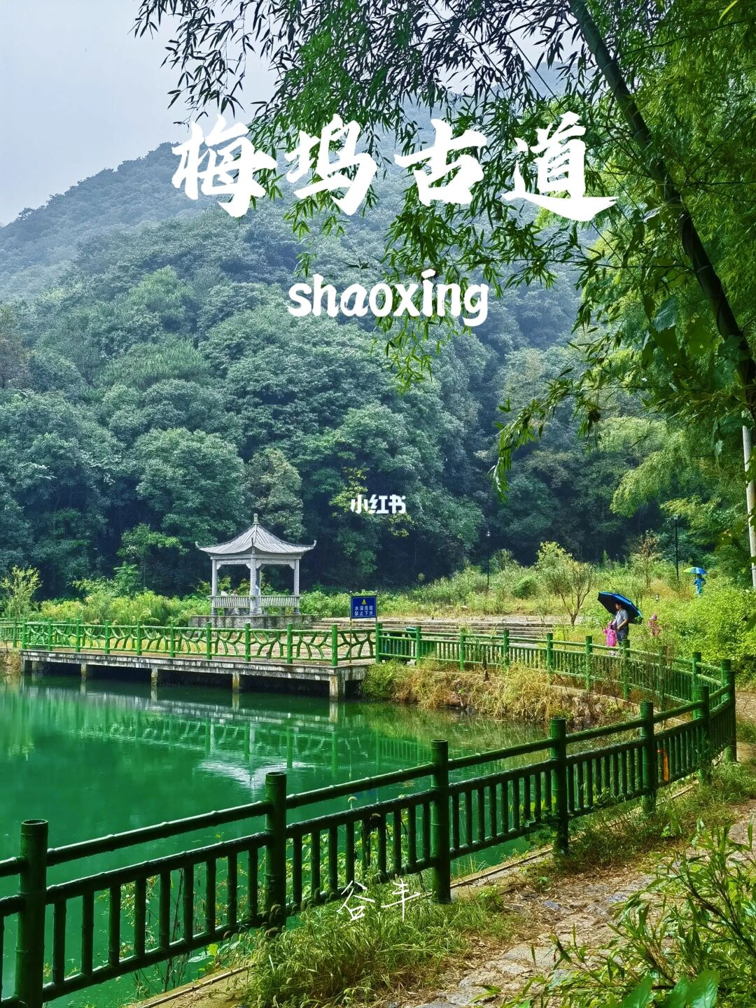 绍兴版“九溪十八涧”，通往蓝湖的竹海古道