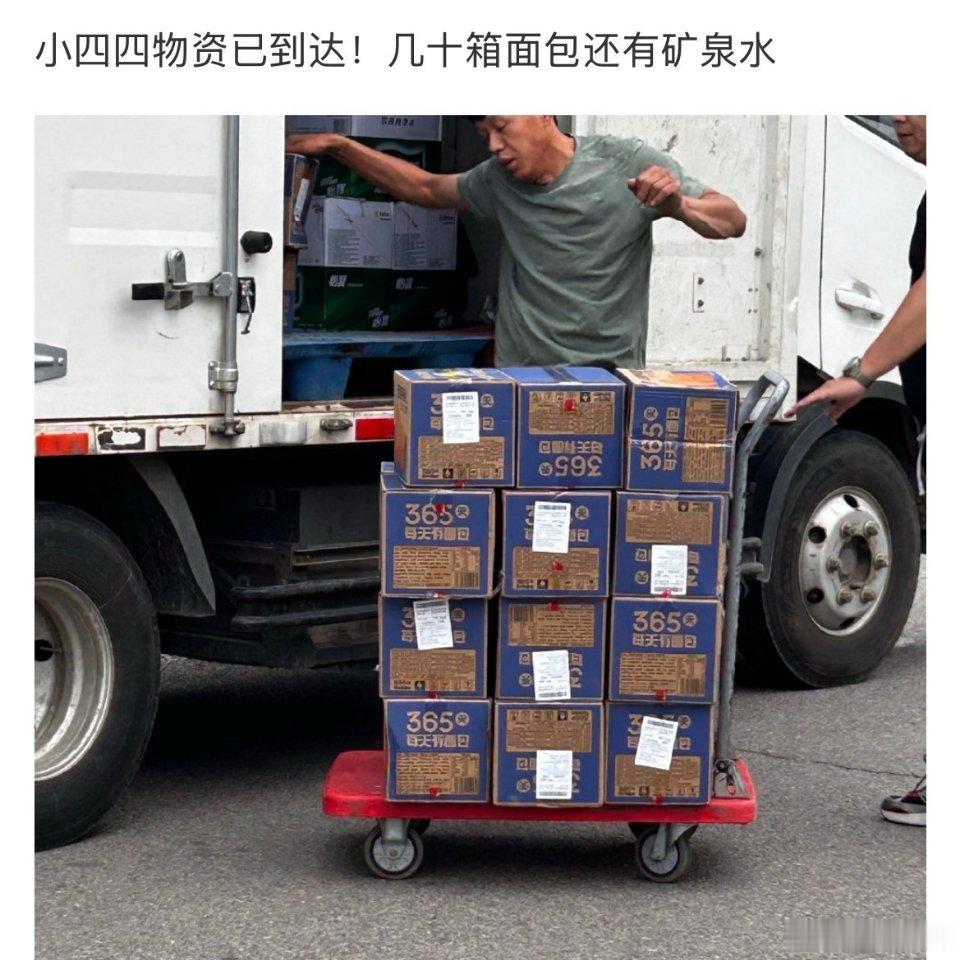停 停 你们不要车了 