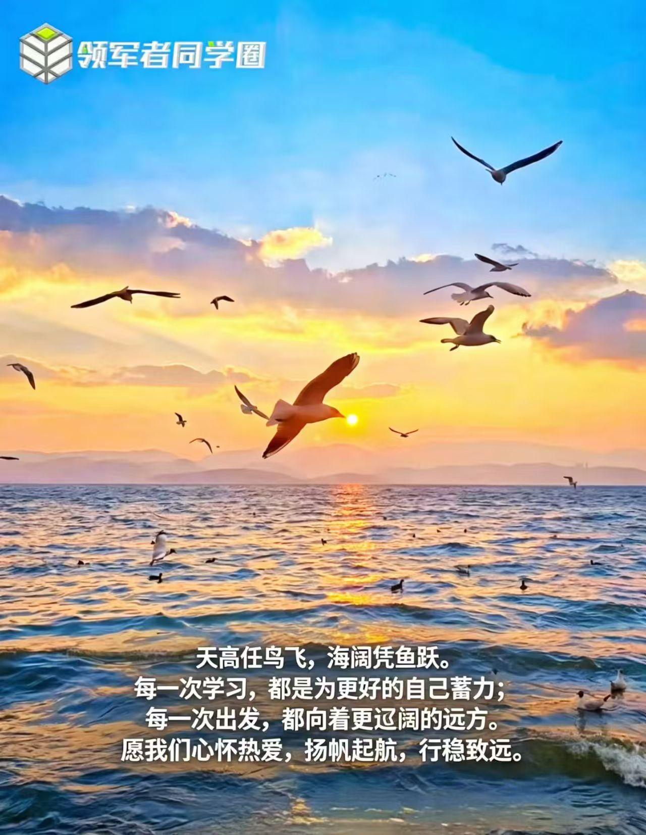 周末不起人间喧嚣，用一段专注的时光，安静学习，慢慢追光！