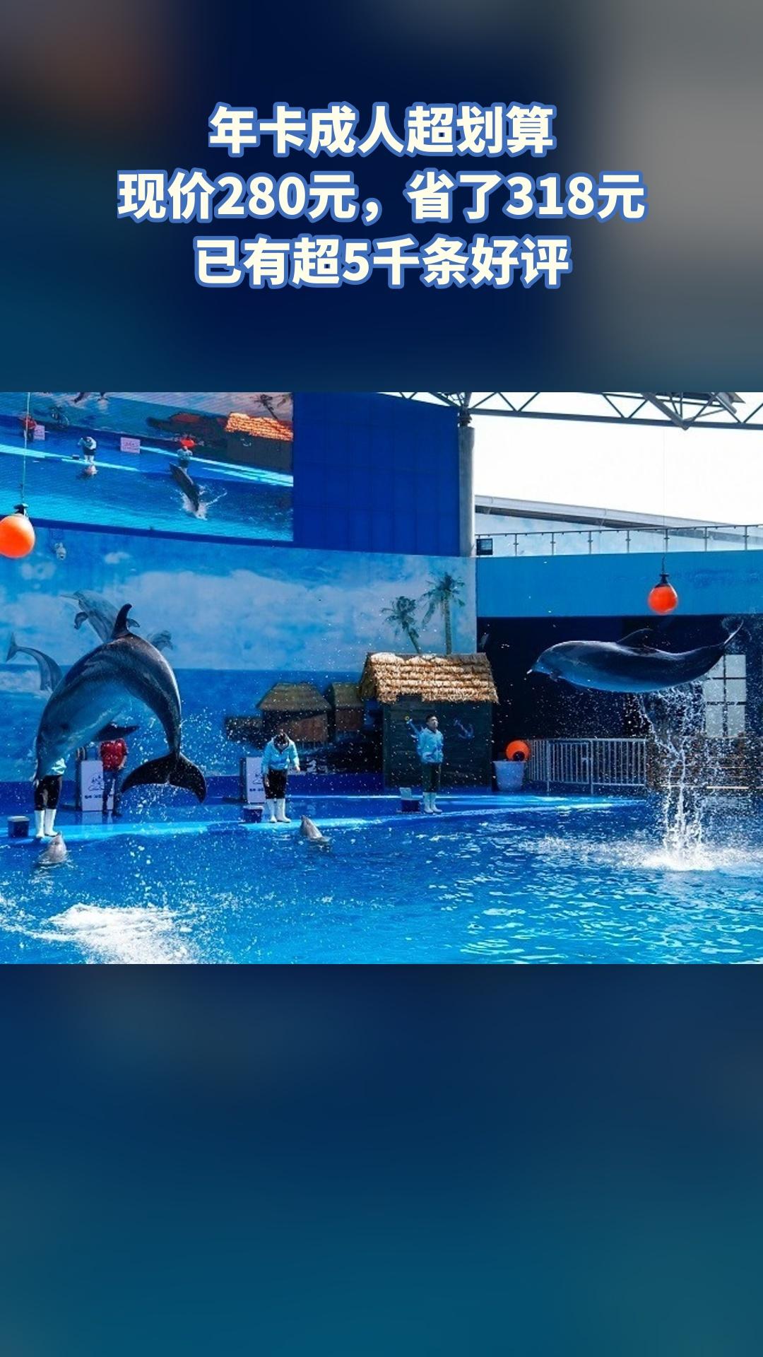 冰雪海洋世界，惊喜狂欢，4.4分推荐，年卡成人（注意，叠加新人价后的价...