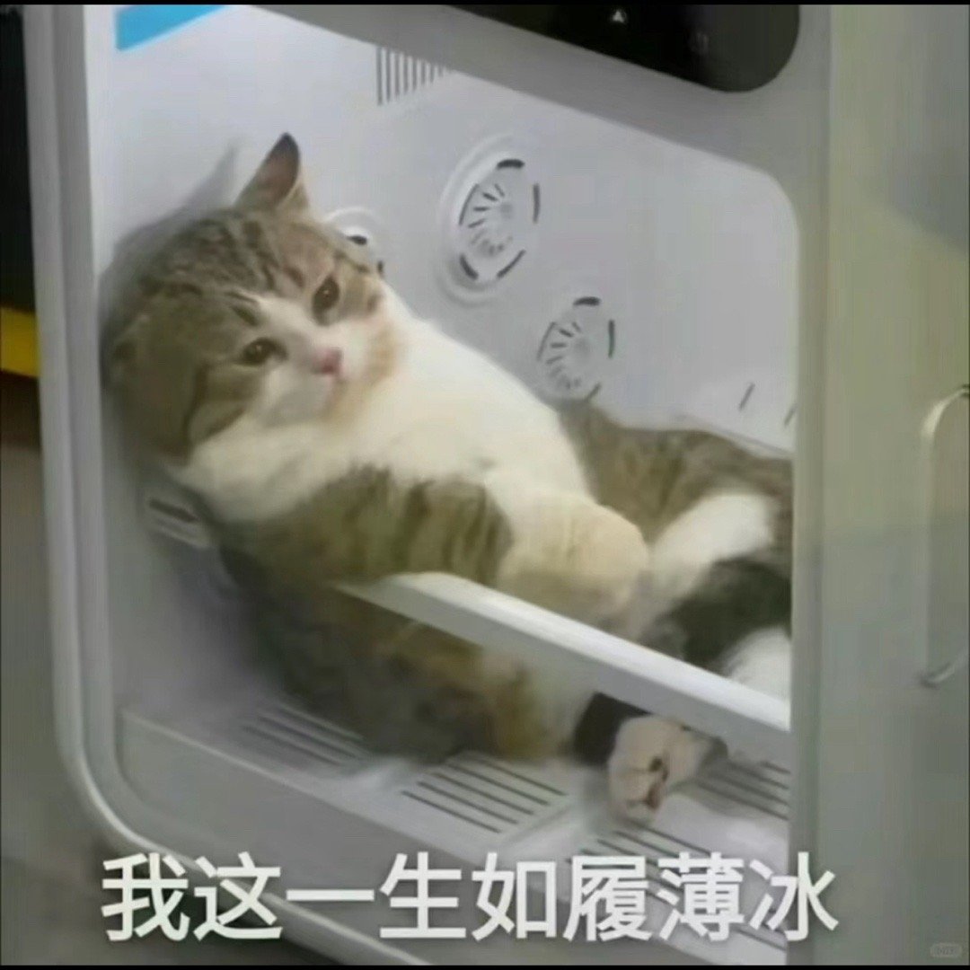 问了一圈，大概率送礼物的人是知假送假了………本人心情belike，钱都是小事，被