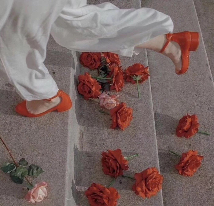 年轻的时候，爱什么都不过分，年纪大了，放弃什么都能理解。丨李烤鱼 我的私人宝藏书