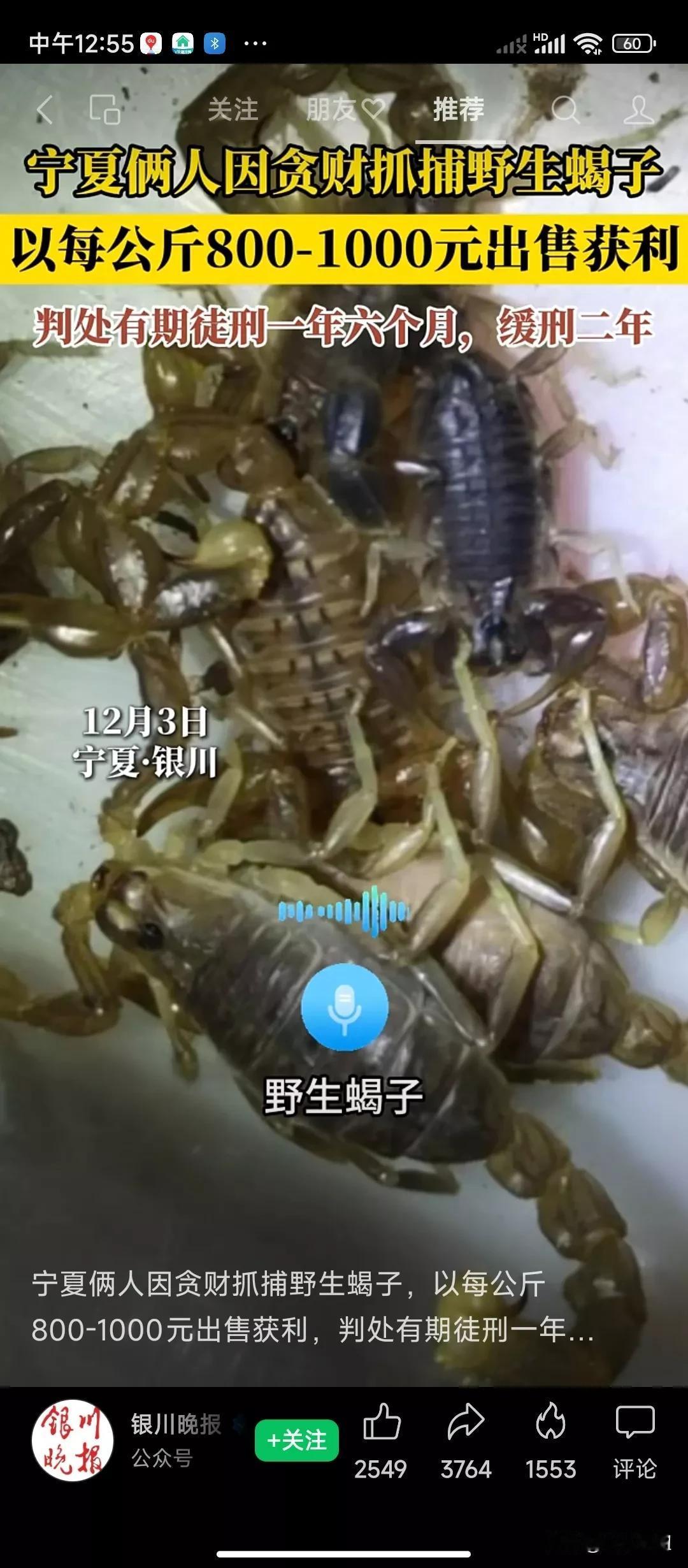 70后的我，还记得小时候去山上抓蝎子的情景，约上两三个小伙伴，拿双筷子，拿个空瓶