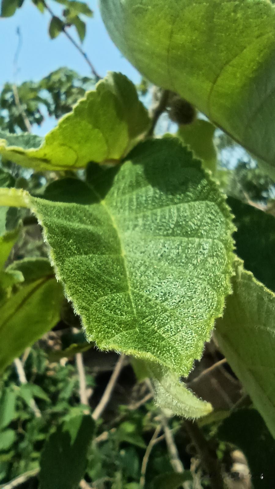没钱的男人会变坏吗？
 
不能一竿子打翻一船人，
但不得不说，
有些男人没钱时，