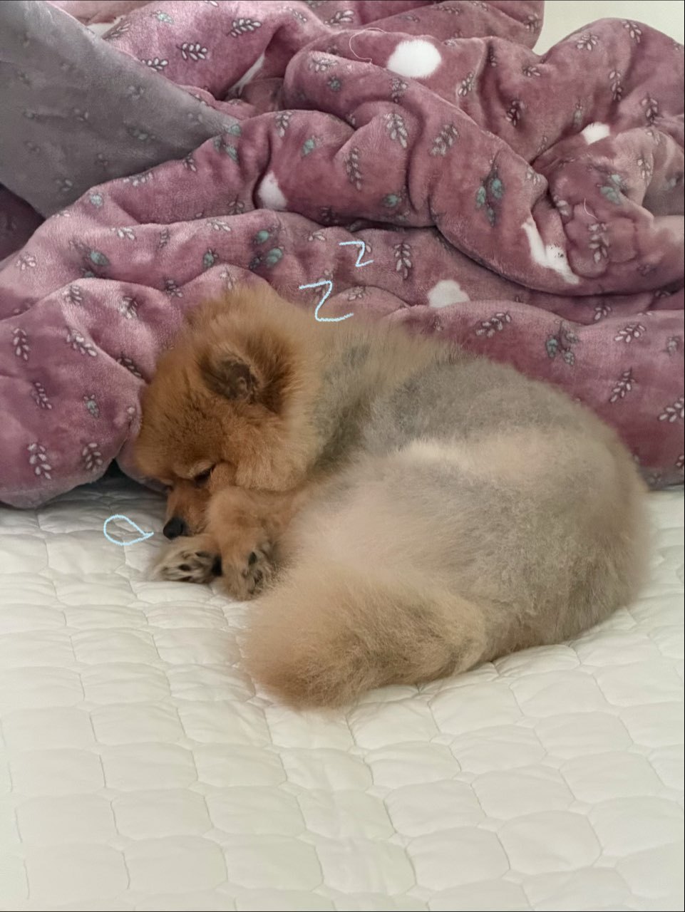 小脏春天 