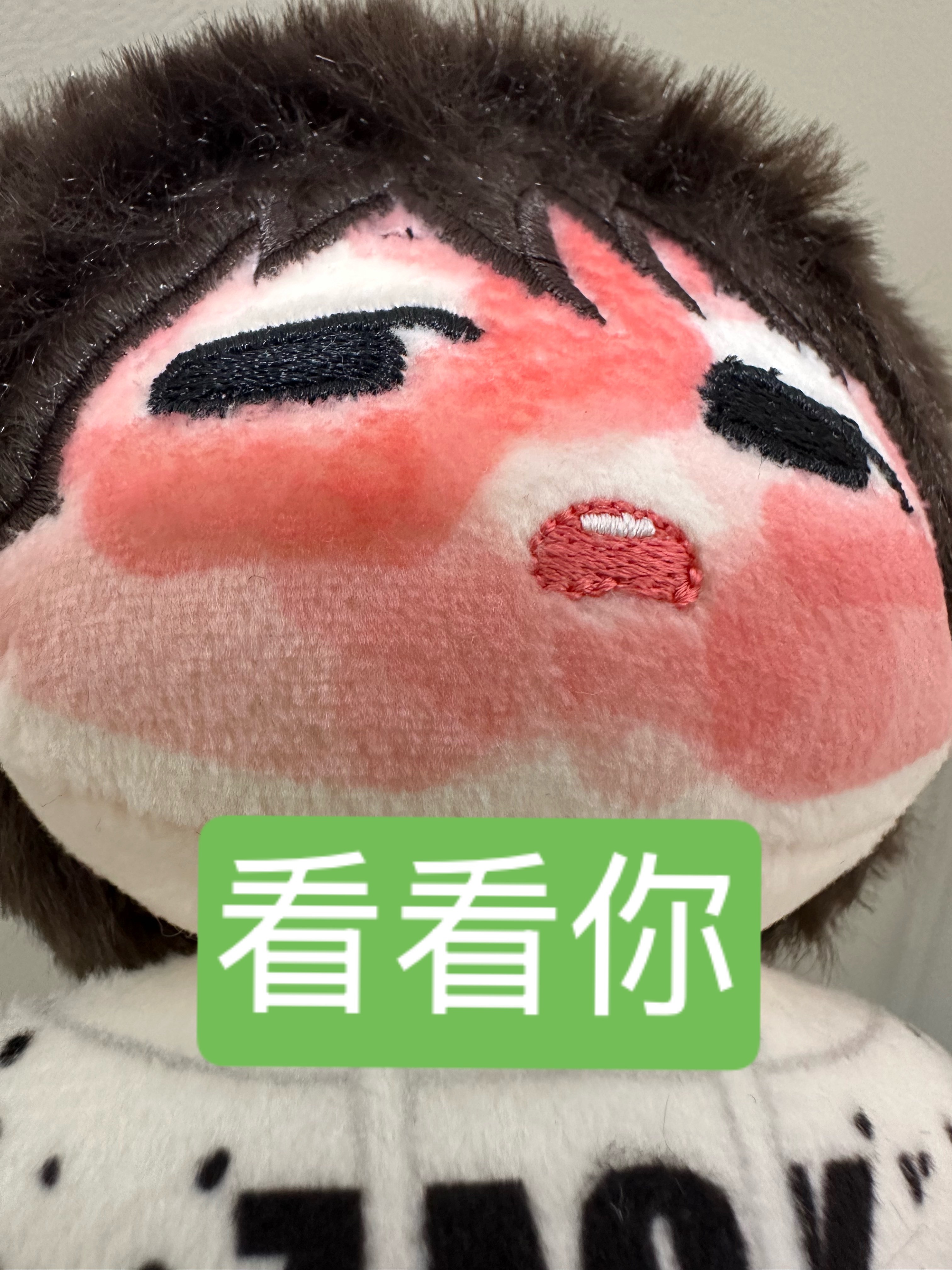 张泽禹[超话] 昨天到手的新鲜番茄，头发太好rua了，想给他买个小猪头套[流鼻血