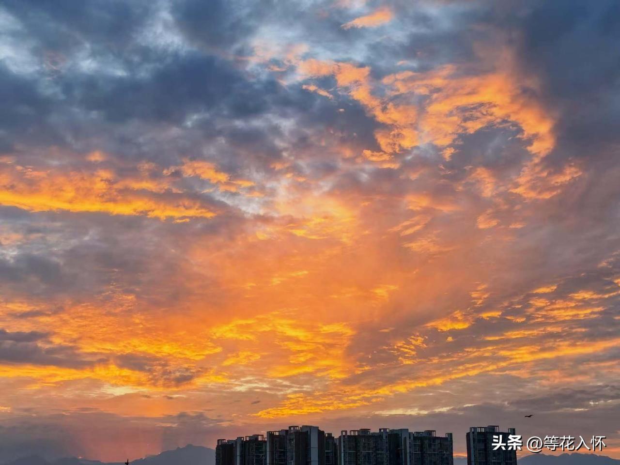 讲点双流的故事

知道双流，是因为从四川去外地，多半要到双流机场去登机，原来以为