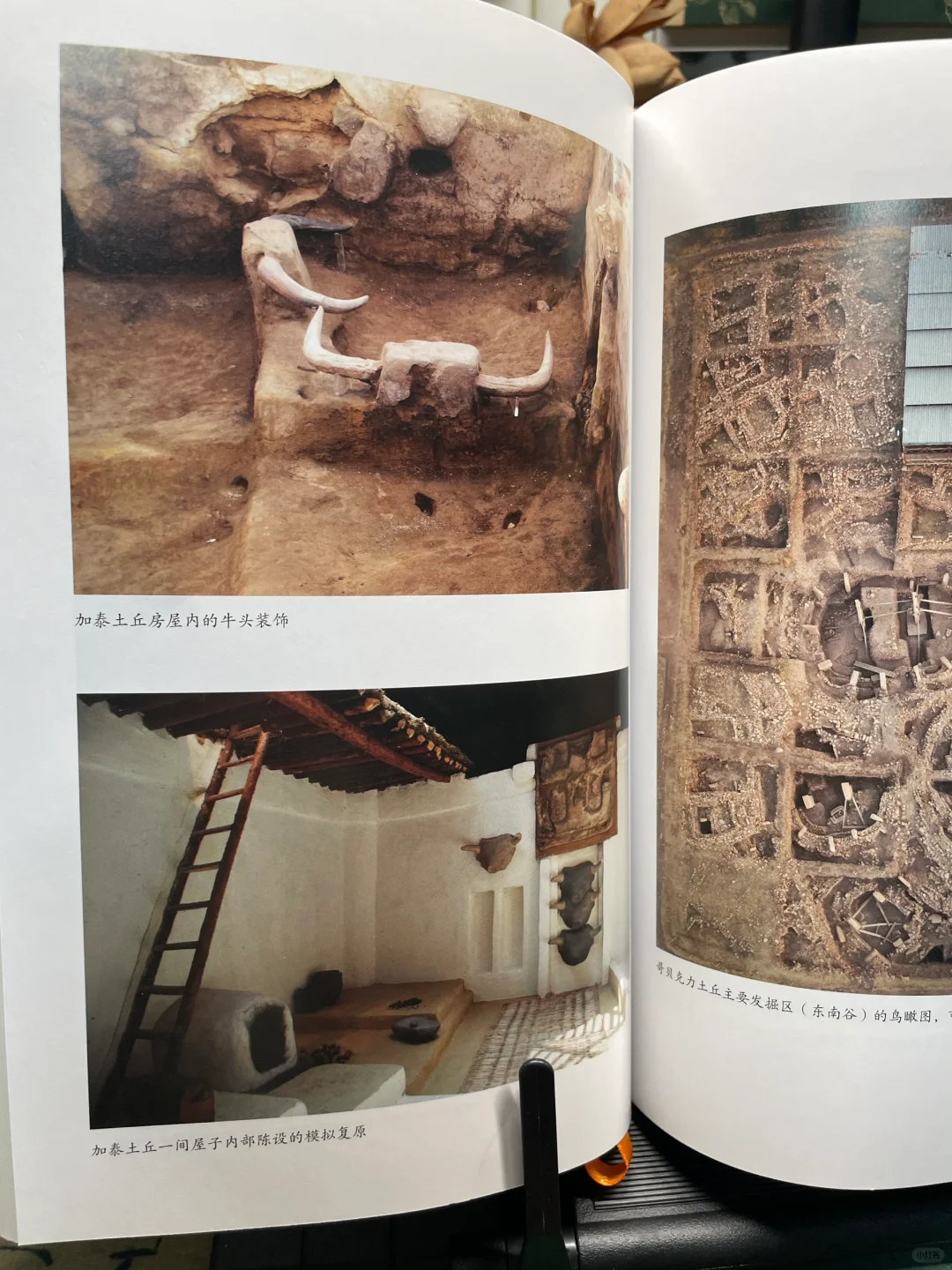 世界史新书推荐｜人类新史