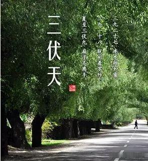 三伏天养生藏大智慧！牢记九字诀窍，长辈安稳过盛夏
 
盛夏三伏，暑热裹挟万物，是