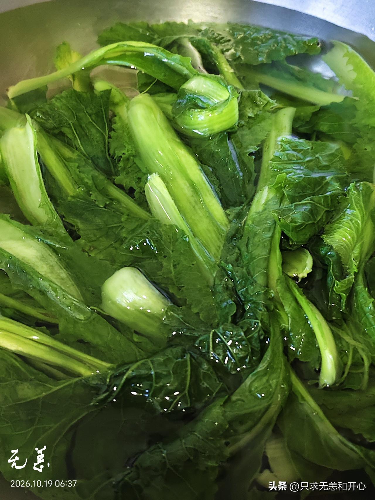第一张图是我自己种的小白菜，烫好了。
第二张图是买的绿帮大白菜，烫好了。
第三张