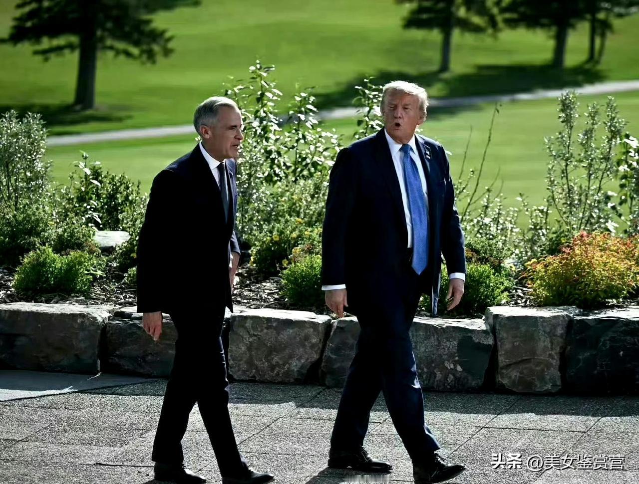 太敢说了！
加拿大总理卡尼近日表示，如果美国总统特朗普邀请俄罗斯领导人普京若现身