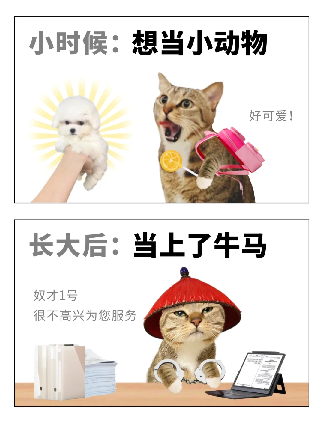 嗯...怎么不算如愿以偿了呢