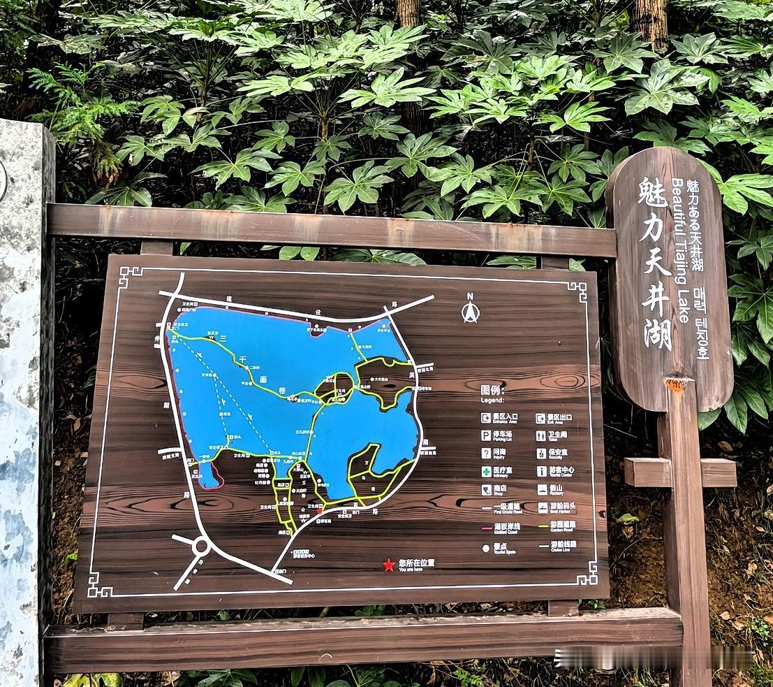 游“魅力天井湖”，欣赏安徽省铜陵之美。

闲暇无事，打开手机看照片。发现这几年，