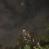 寻梦最爱历史