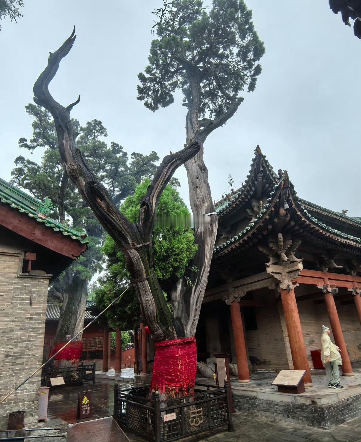 山西关公信俗两岸同心来山西赴一场千年风雅的诗意端午震撼的关公演绎诠释忠义仁勇的民