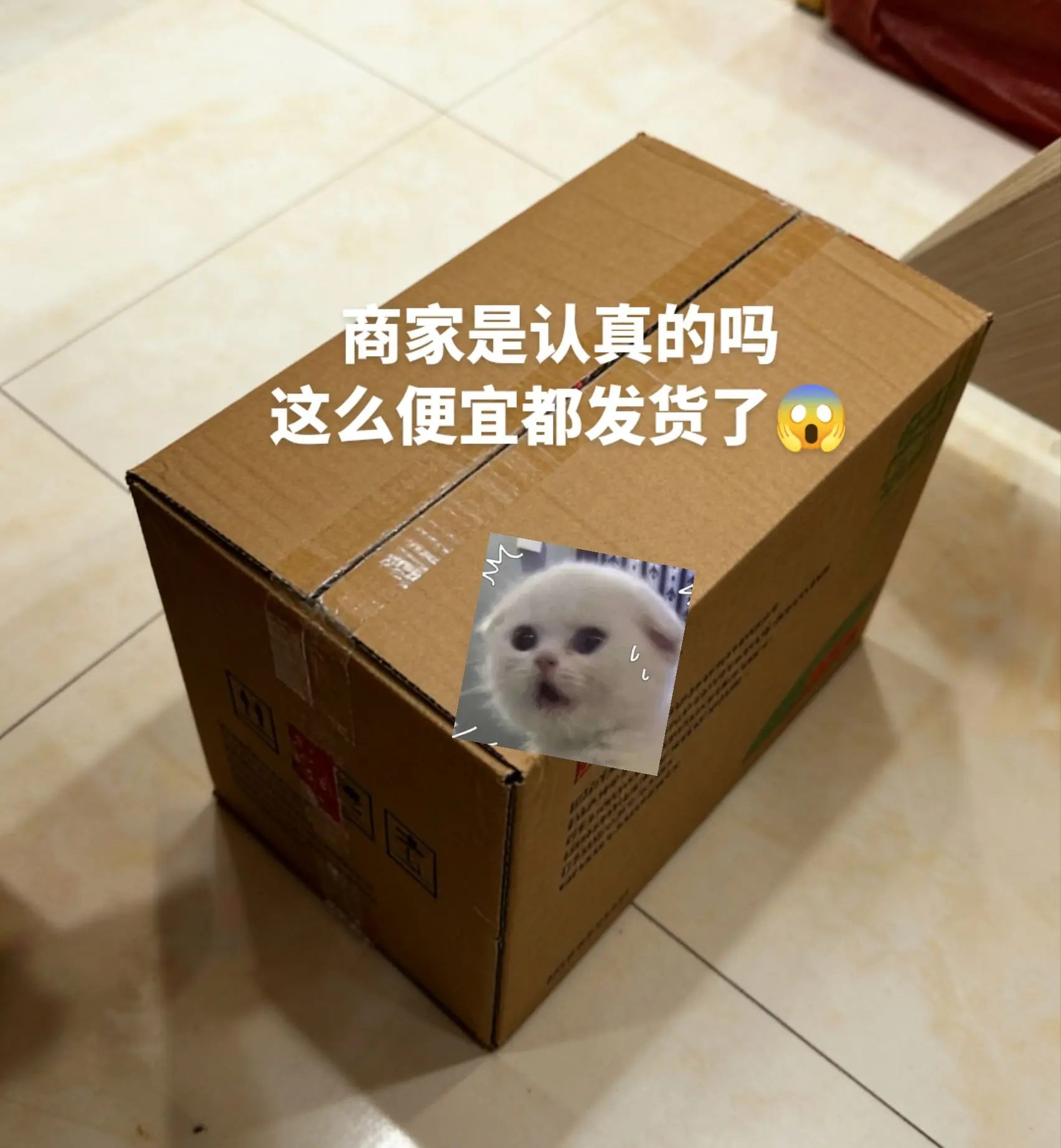 个位数发40包 商家你认真的。