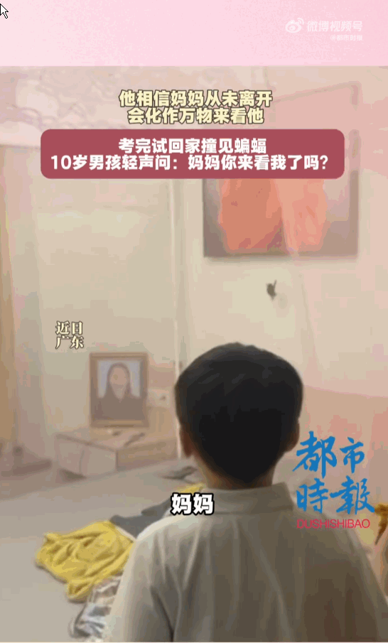 男儿有泪不轻弹，只是未到伤心处！广东，一个刚考完试回家的男孩，竟对着家里蚊帐中的