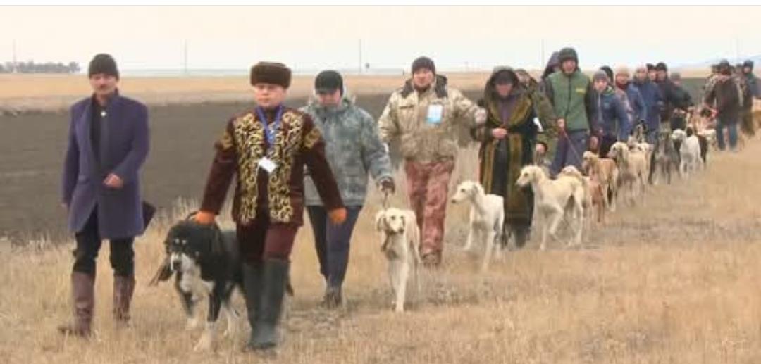 这个照片有点意思，尚不知道拍摄地点