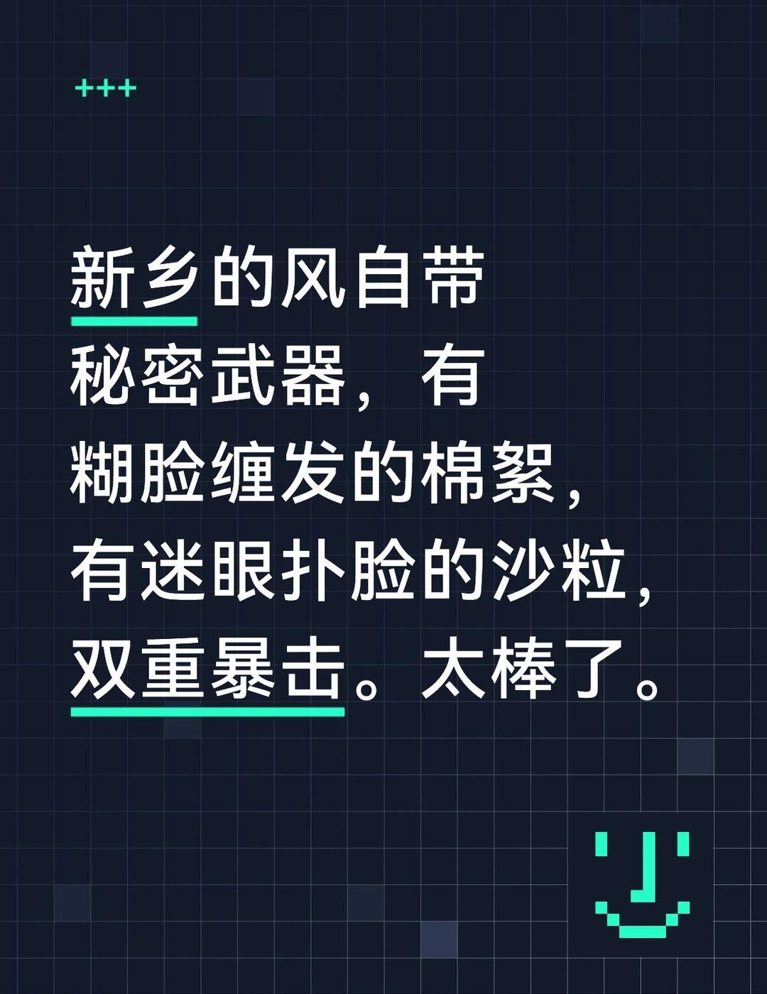 讨厌的天气 新乡天气 柳絮纷飞