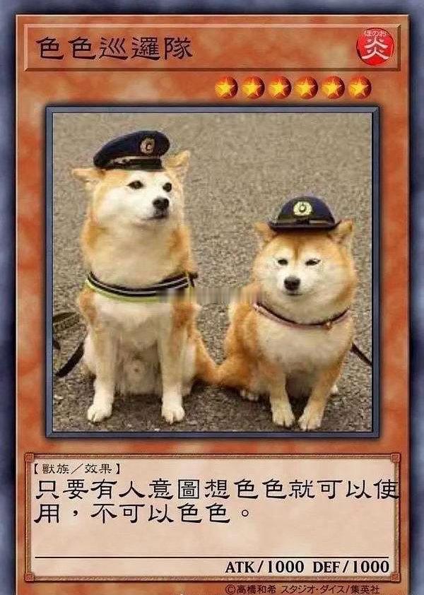 他买了一堆猫的东西，我暂时先不让放家里，于是他的收货地址是单位，他还买的别的东西