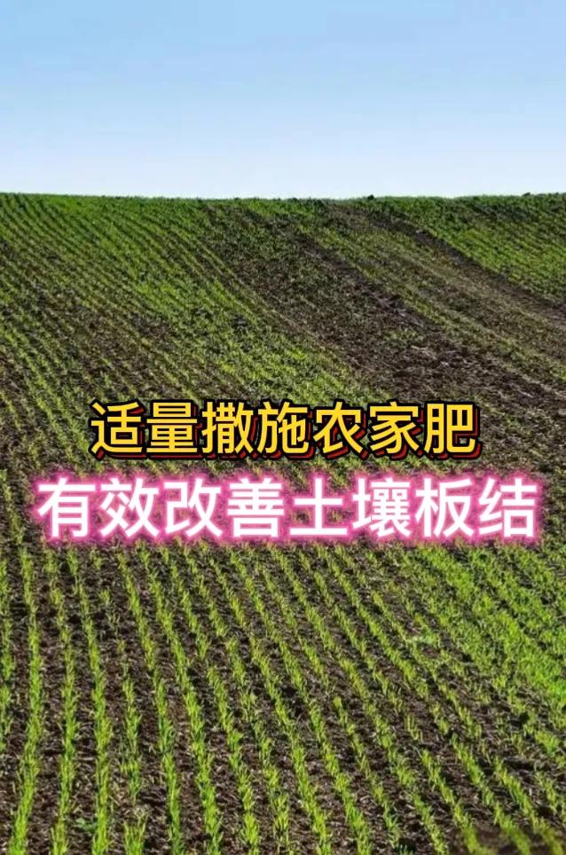 土壤板结要如何改良?改良土壤板结可以从以下方面着手。首先，增施有机肥，像农家肥、