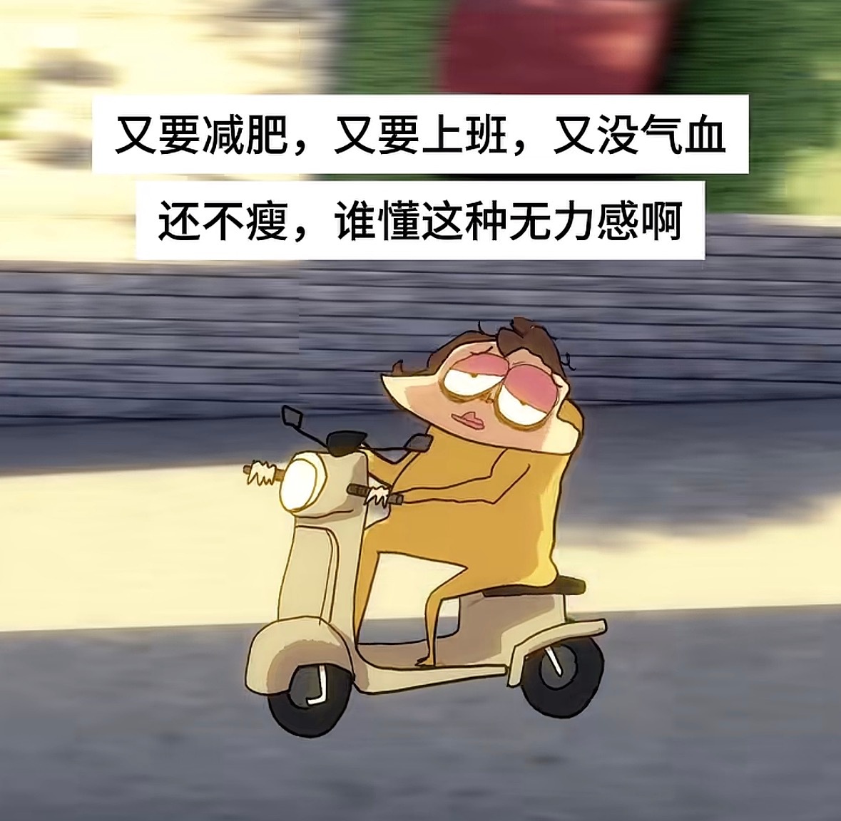 我每天： 