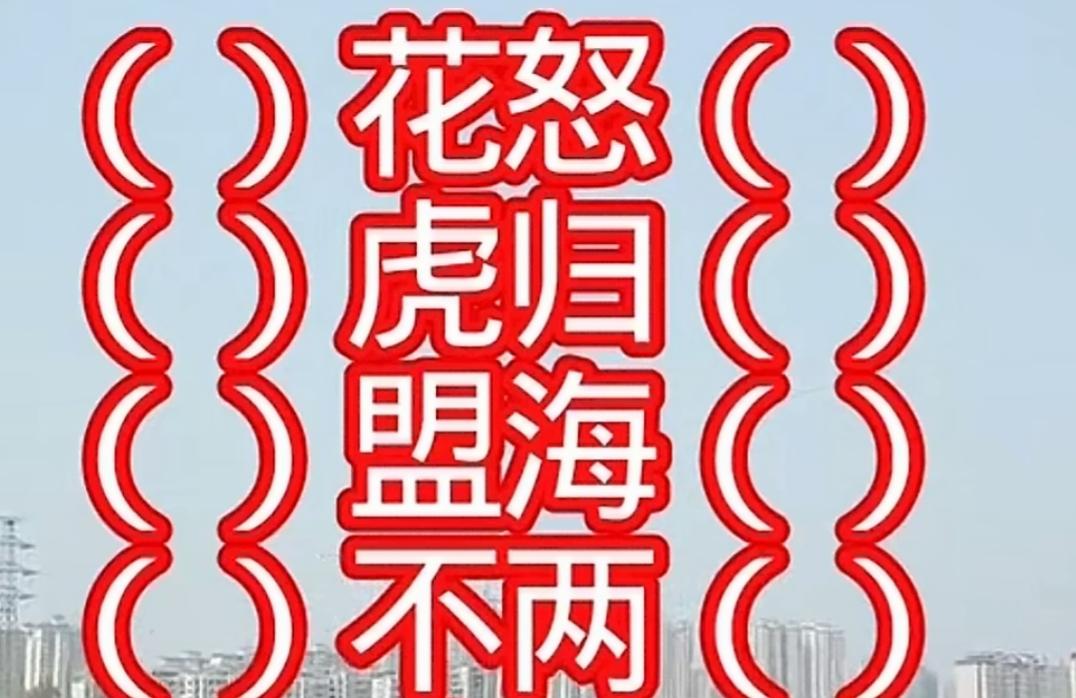 “花怒虎归盟海不两”的搞笑标语。快乐填词语。开动大脑活跃思维，敢来挑战吗？等待你