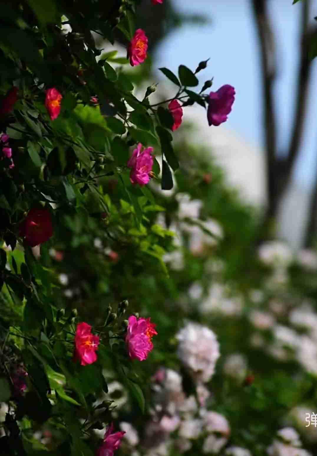 我的今日状态：😁轻松愉快
我这里的天气：☀️晴天