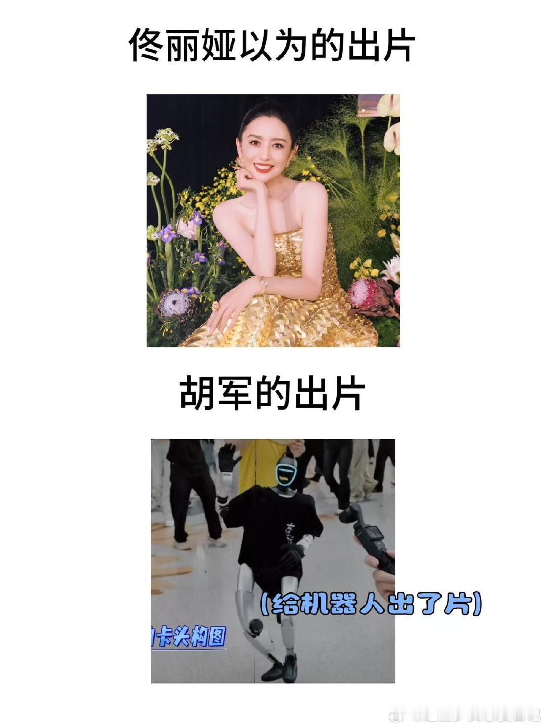 佟丽娅看到胡军拍的自己天塌了 胡军拍佟丽娅没有佟丽娅 大哥小助理已经开始共情佟丽