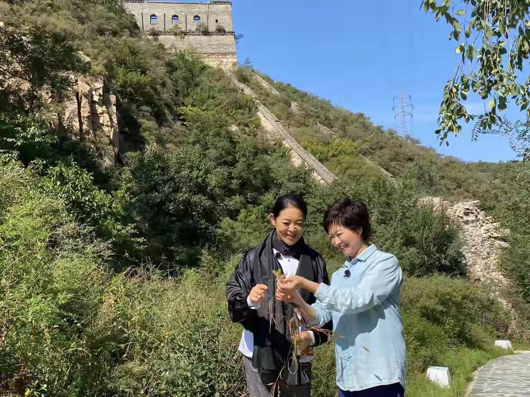 白岩松水均益去送别敬一丹，我看到了不舍。
朱军、周涛、董卿去悼念敬一丹，我看到了