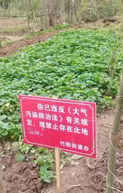 #双11必囤国货口粮#
一刀切禁烧，就是折腾农民！
近日，湖南一地农村秸秆焚烧政