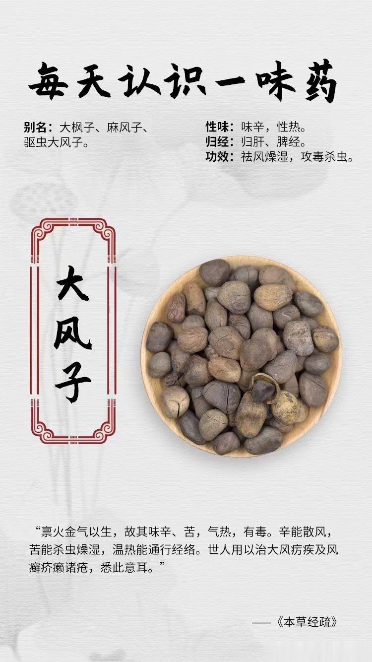 #国医的精诚力量##每天一味中草药##论道岐黄# ☘️【每天认识一味药】🌹大风