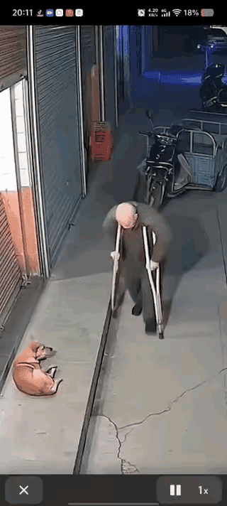 真是“搬起石头砸自己的脚”

傍晚的小巷里
拄着双拐的大爷正在溜达
眼瞅着店门口