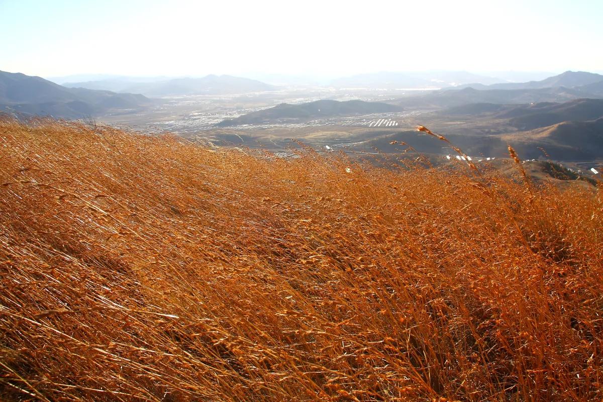 凌源景观系列之五十七——北山红草地
                 ​凌源北山