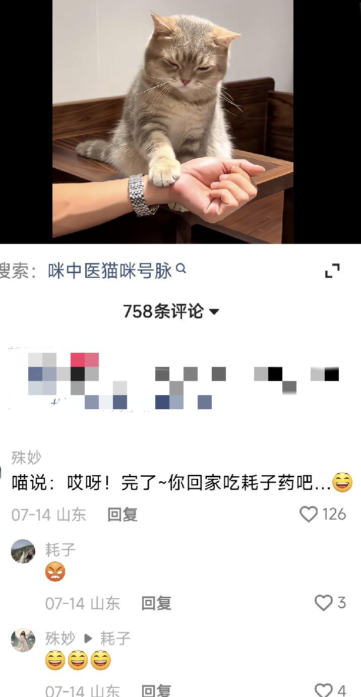 今天的震惊和快乐是猫中医给的。
有个小猫喜欢给人把脉，表情偶尔皱眉，偶尔眯眯眼，