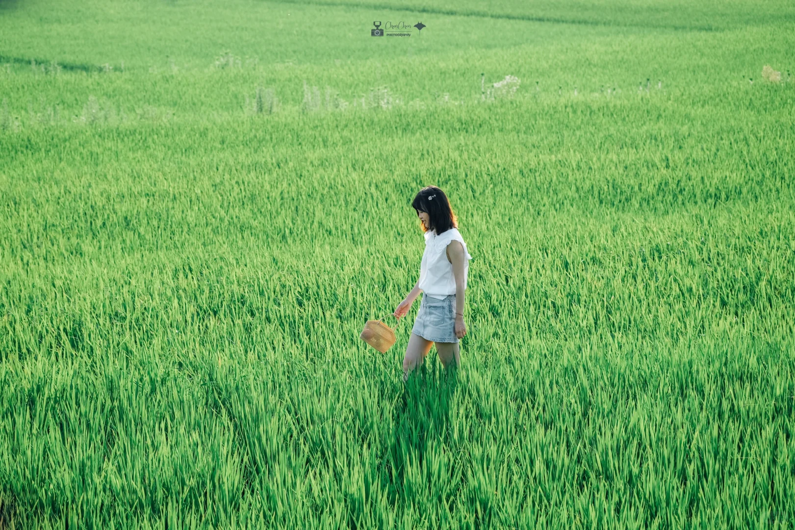 东升村—属于菊次郎的稻田