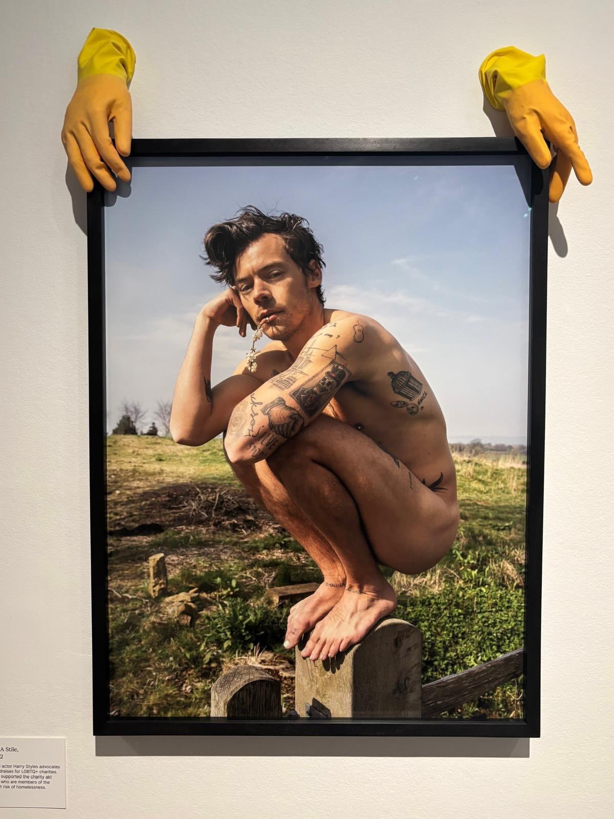 【这就是艺术】Harry Styles 的裸体写真正在英国国家肖像馆展出中，由英