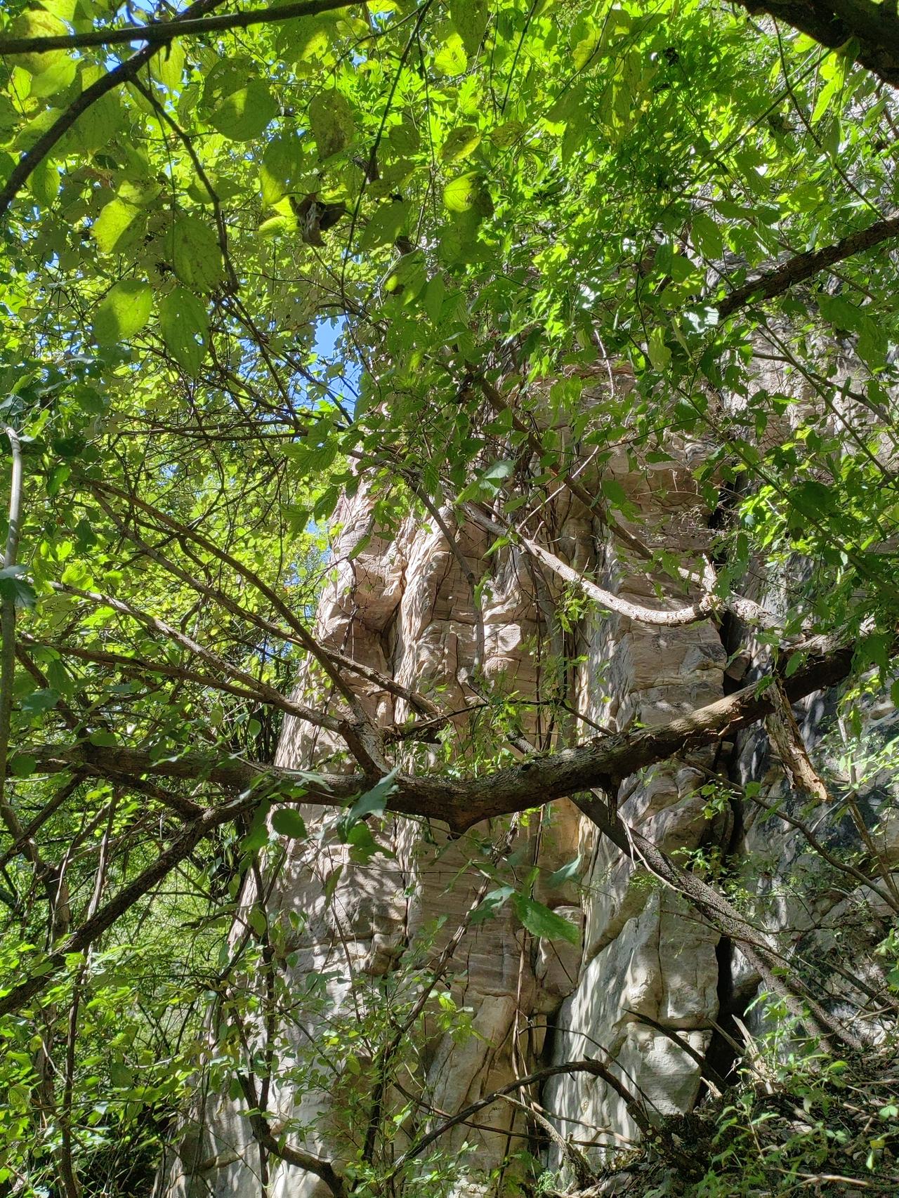 在景区游玩，未登山之前听到工作人员冲着上面大喊大叫，准备开登时又冲着游人焦急的说